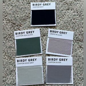 5 Birdy Grey Color Swatches